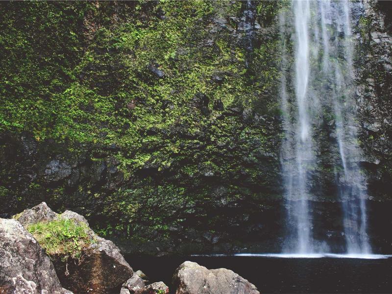 Banco Central mantiene tasa de interés en 8.5% anual